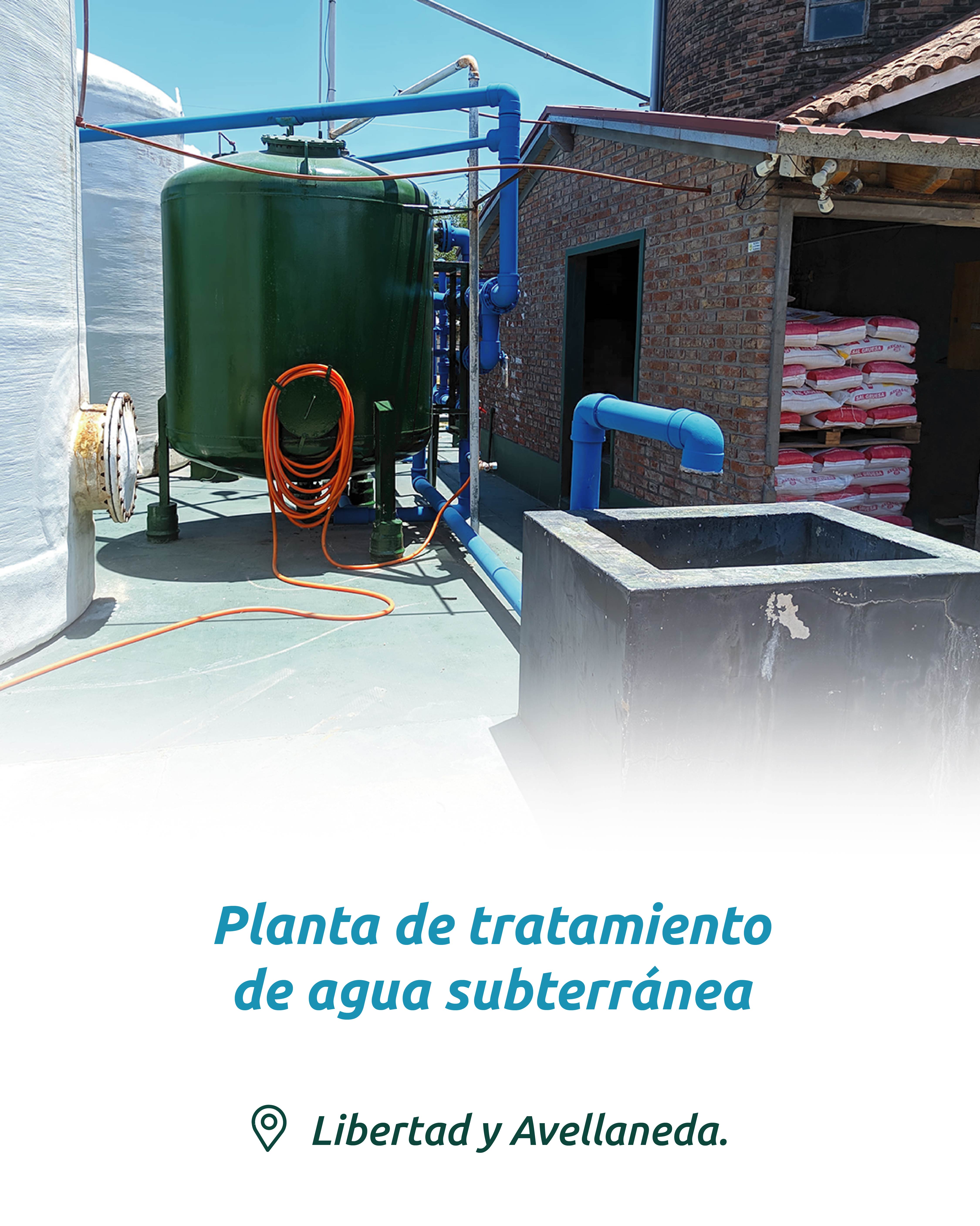 Imagen 5