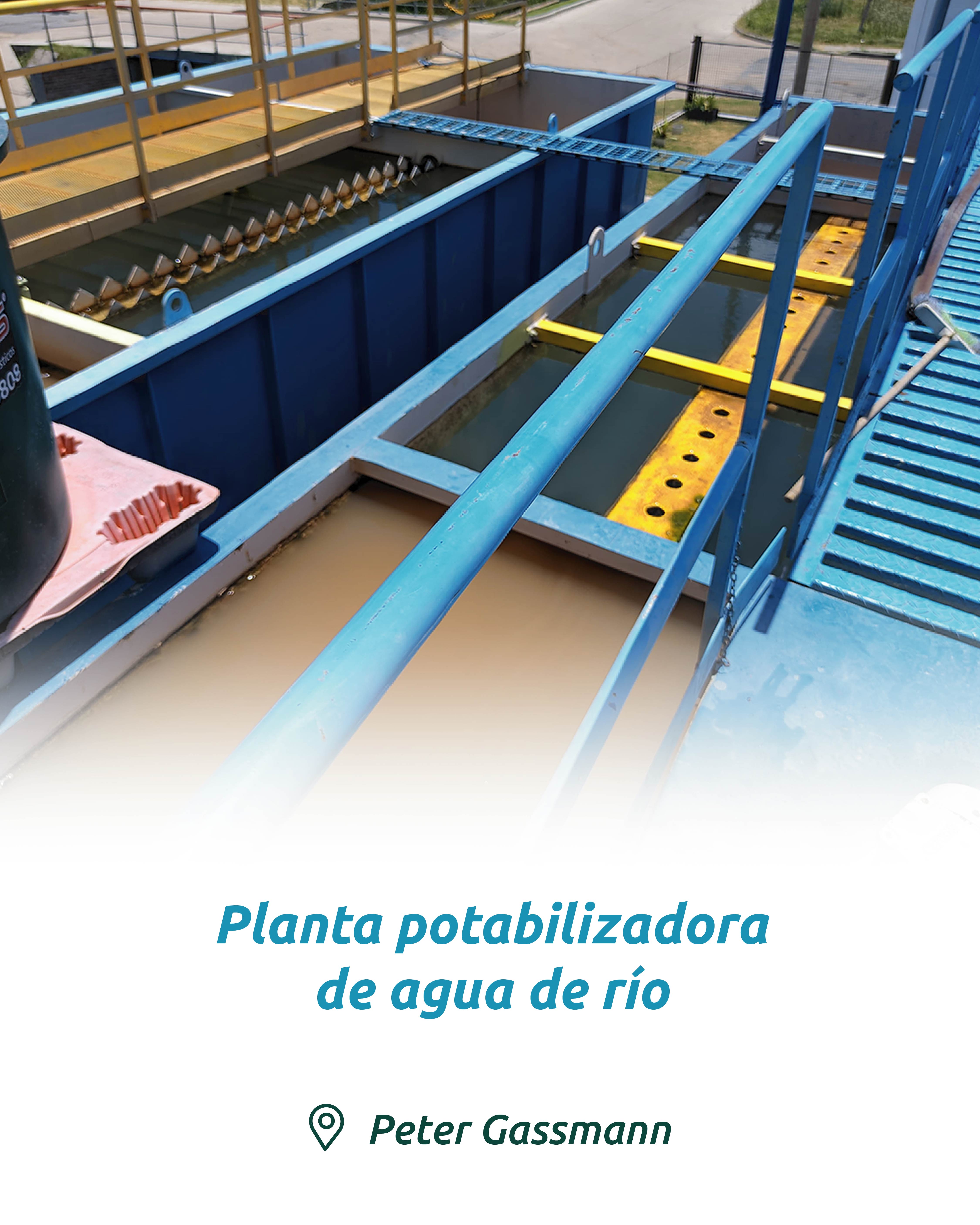 Imagen 9