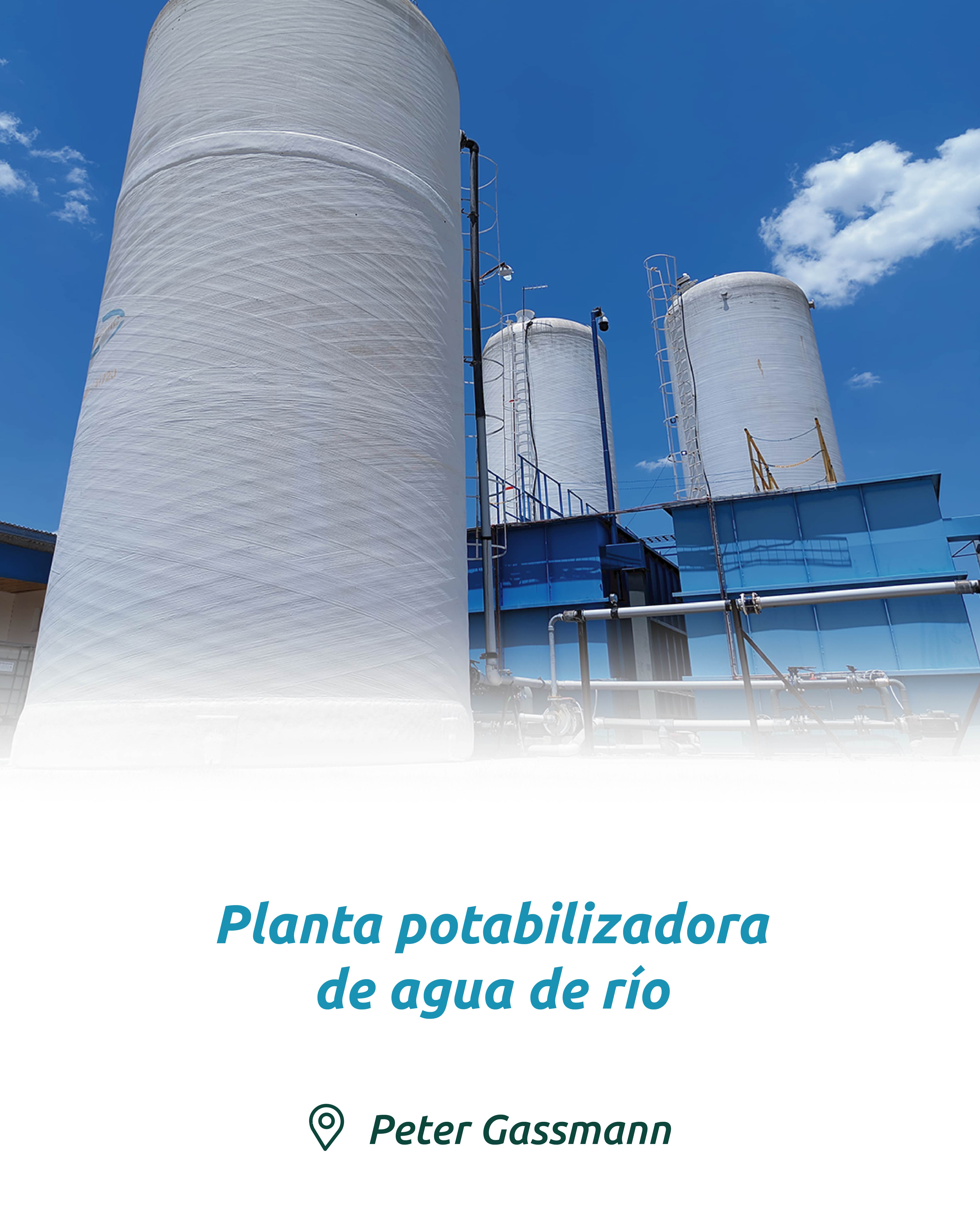 Imagen 11
